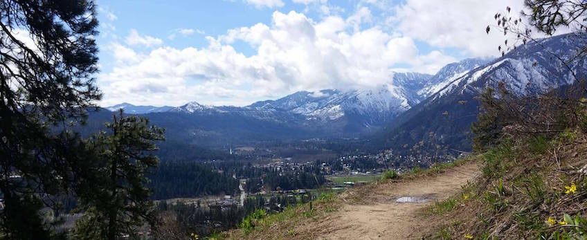 May/June Trail Highlight: Rosy Boa