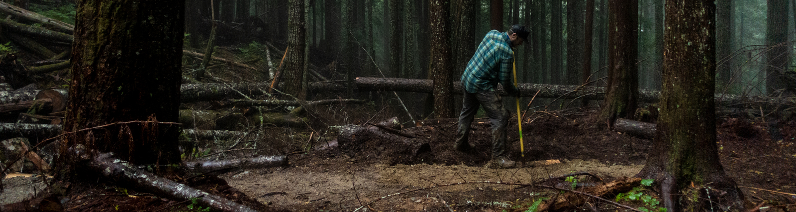 2020 Evergreen Volunteers Of The Year