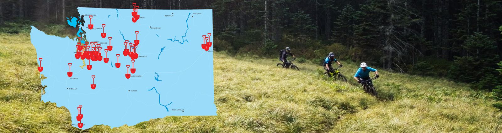 2020 Evergreen Trail Project Sneak Peek