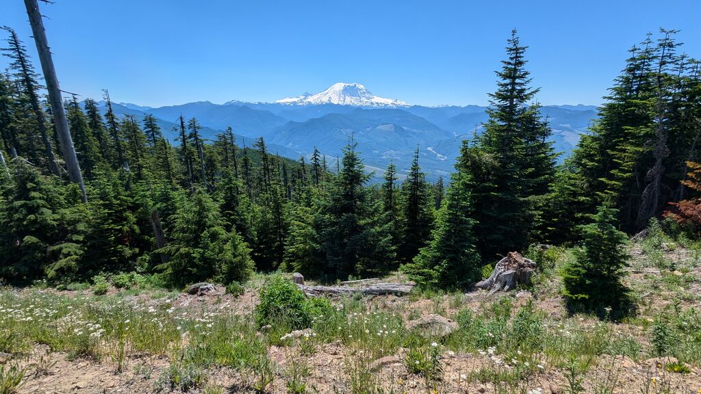 pxl 20240709 210153670