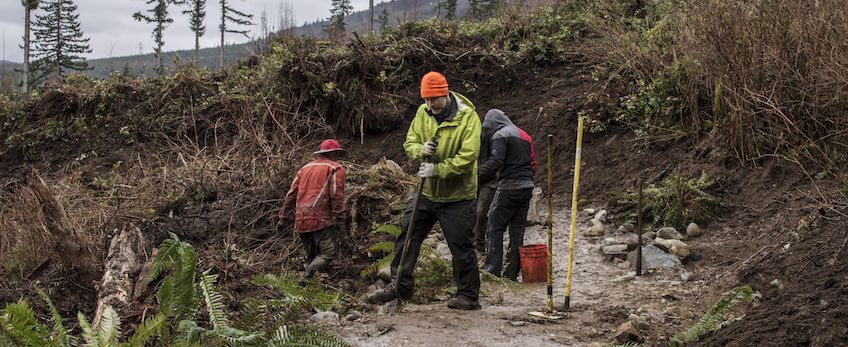 Spring 2017 Evergreen Work Parties