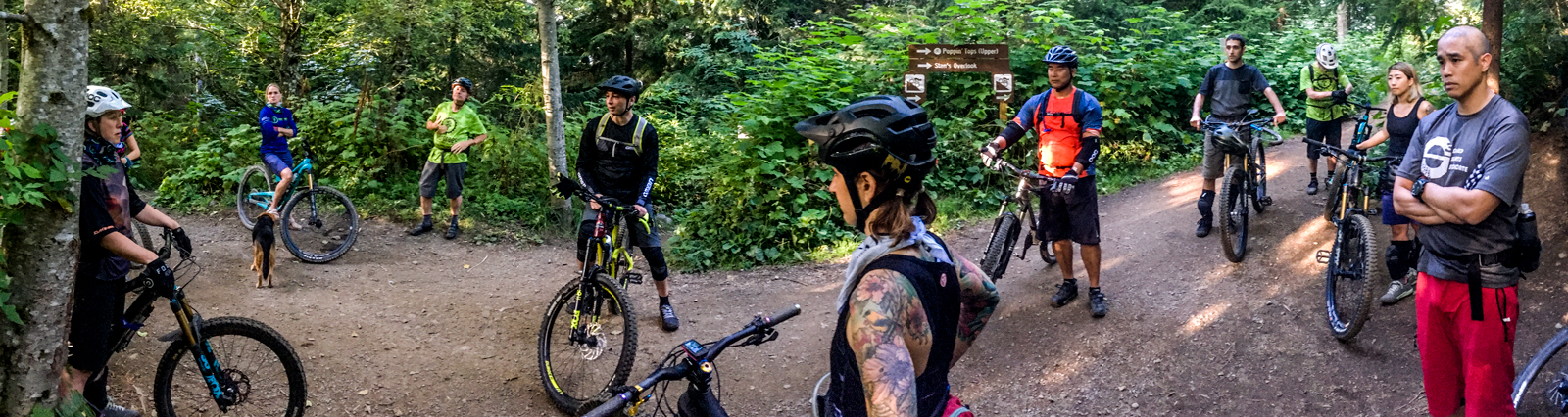 Evergreen Chapter News Roundup