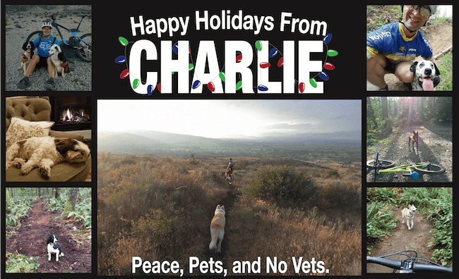 Happy Holidays From Charlie