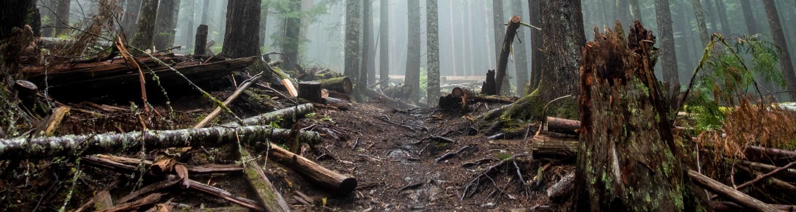 We're Calling On You To Join the Dirty Pocket Club