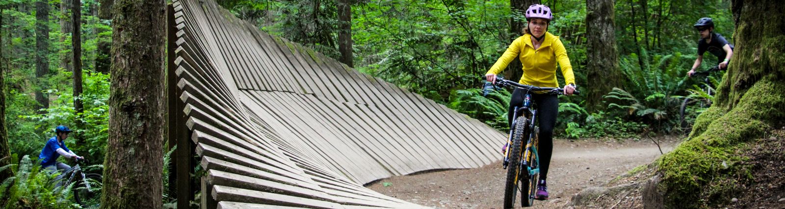 Announcing the Duthie Dig Days Maintenance Series