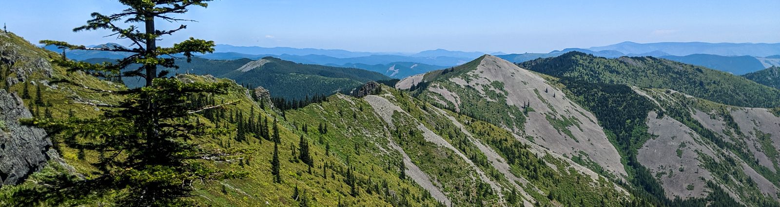 Thoughts On Mitigating Risk During COVID-19