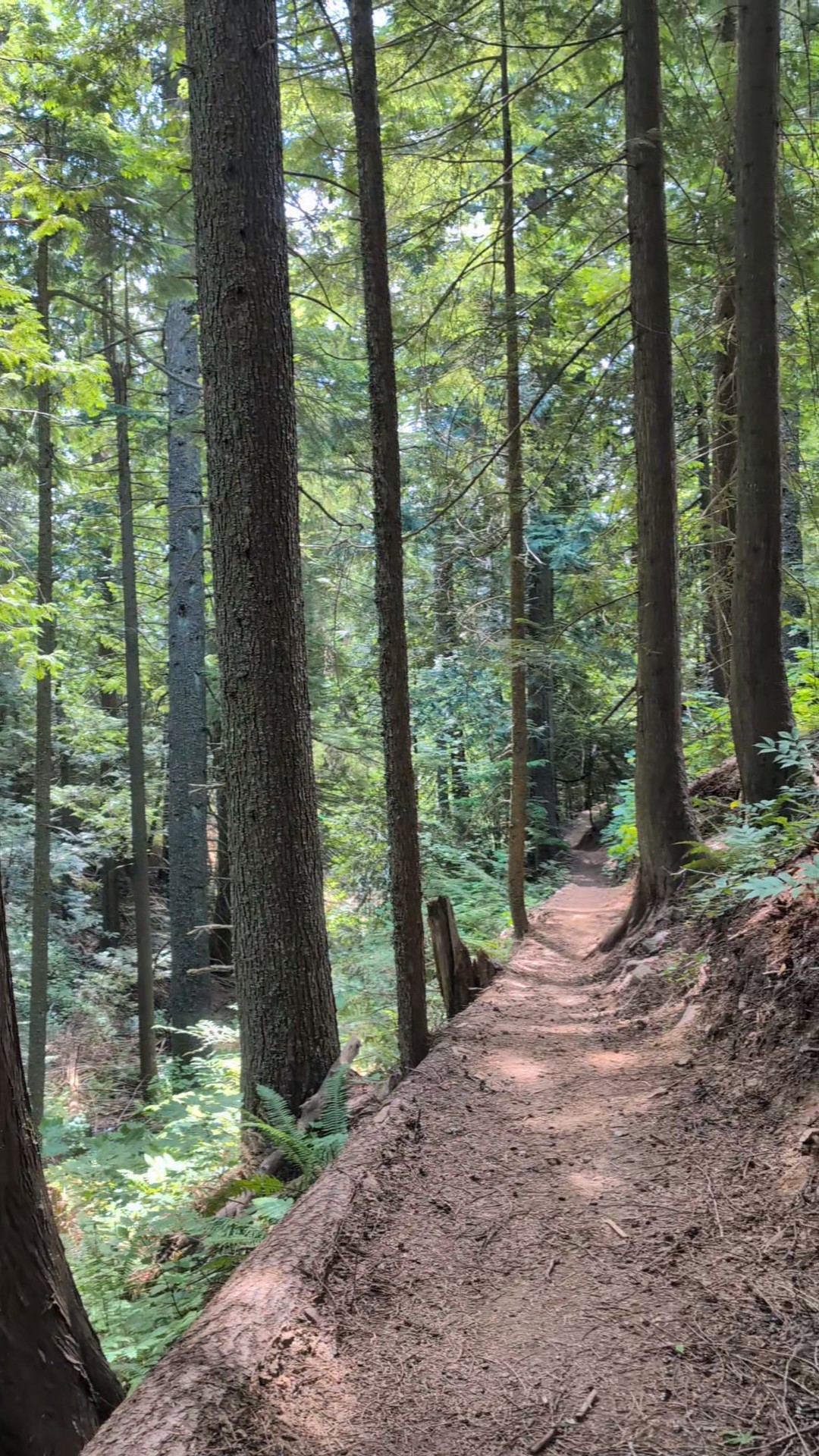 PXL 20250619 184012639 exported 10572