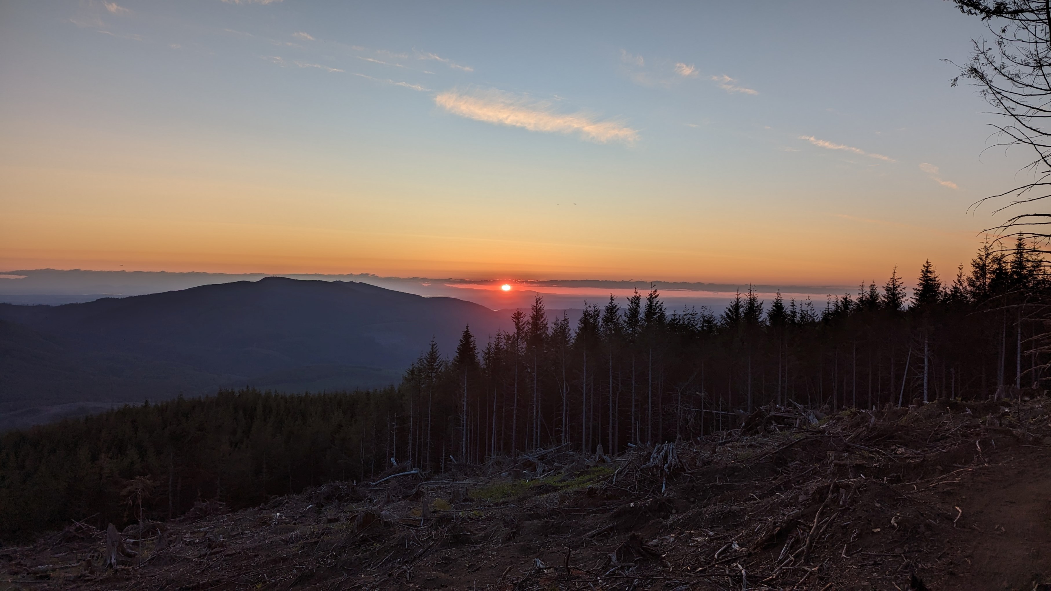 Raging 2023 brushing 4