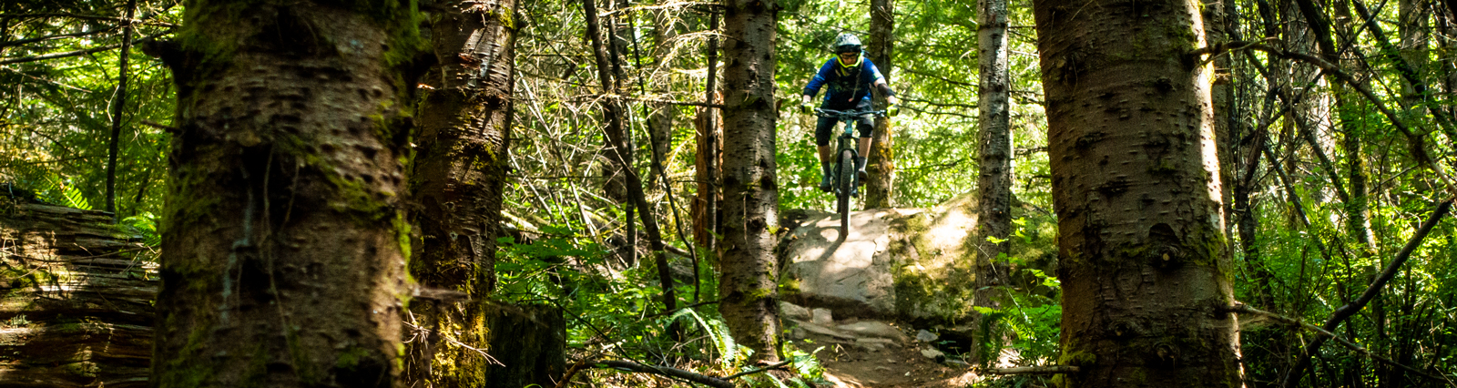 New Trails at Raging River Open Now– Washington Trails Day!