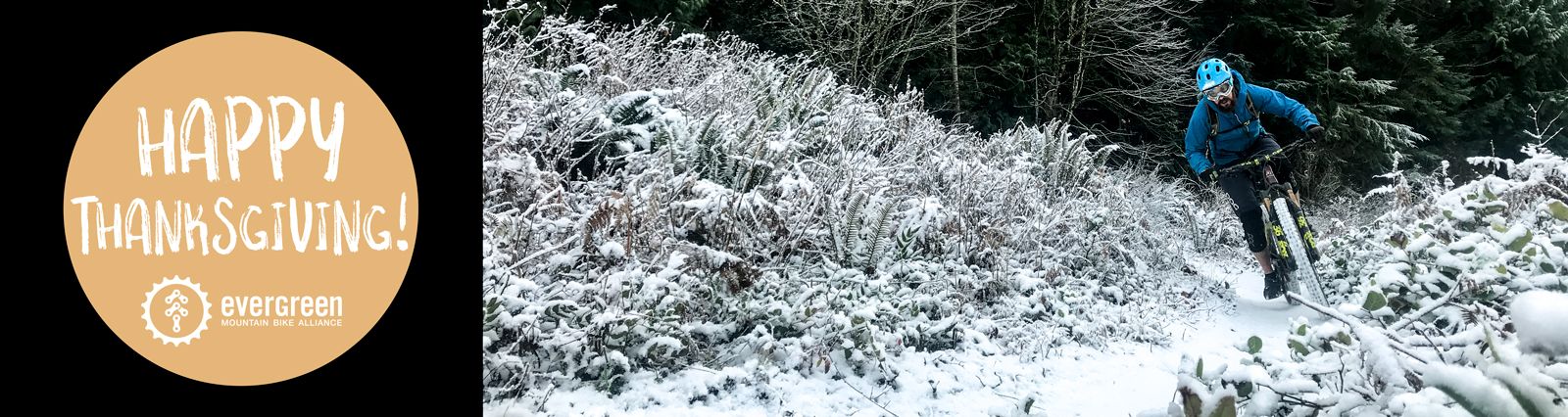 A Message of Thanks from Evergreen