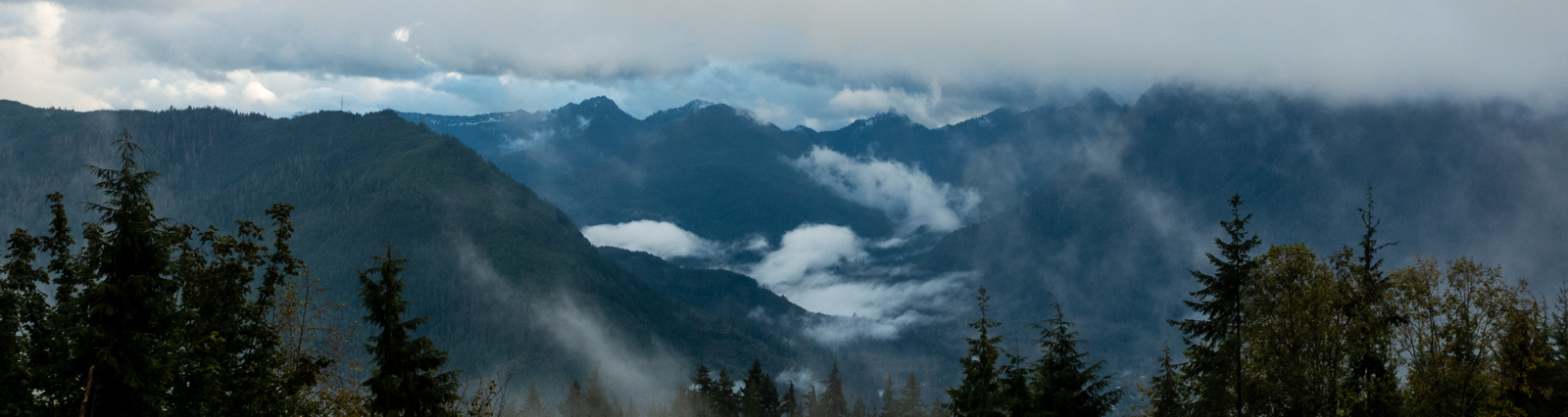 Urgent Input Needed For Future eMTB Access on U.S. Forest Service Trails