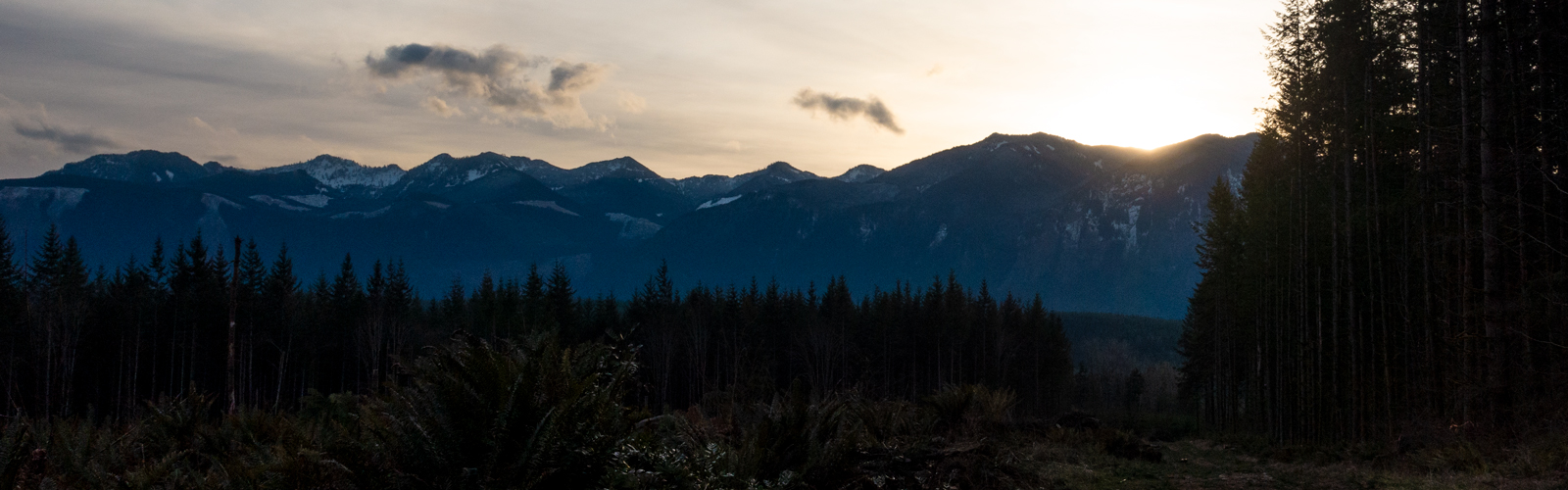 2021 Trail Project Previews & Updates