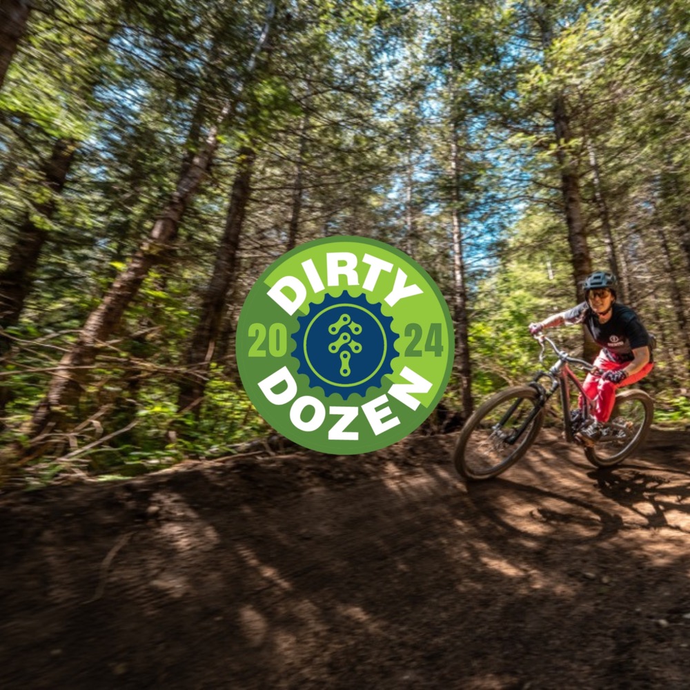 Presenting the 2024 Dirty Dozen!