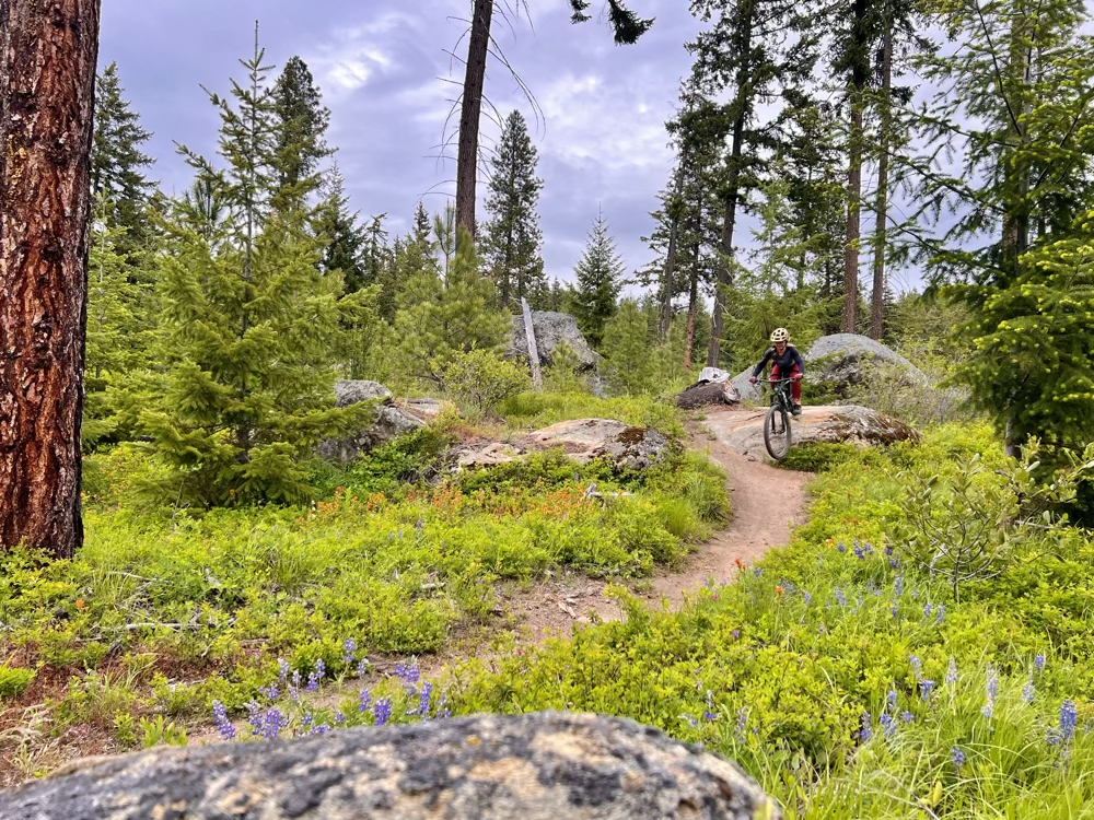 Trail Tuesday featuring Roslyn Area Trails in the Kittitas Chapter