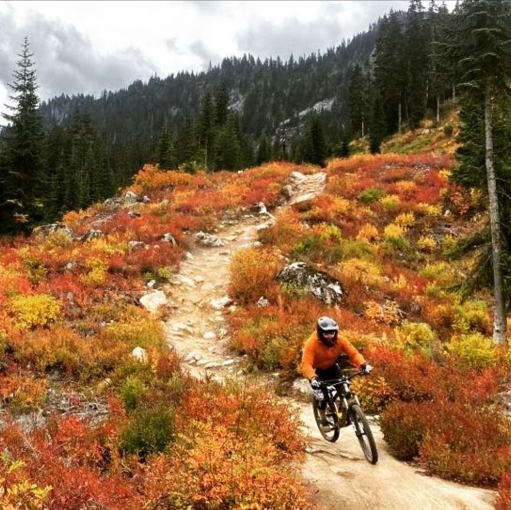 Introducing Our New Executive Director, Eddie Espinosa