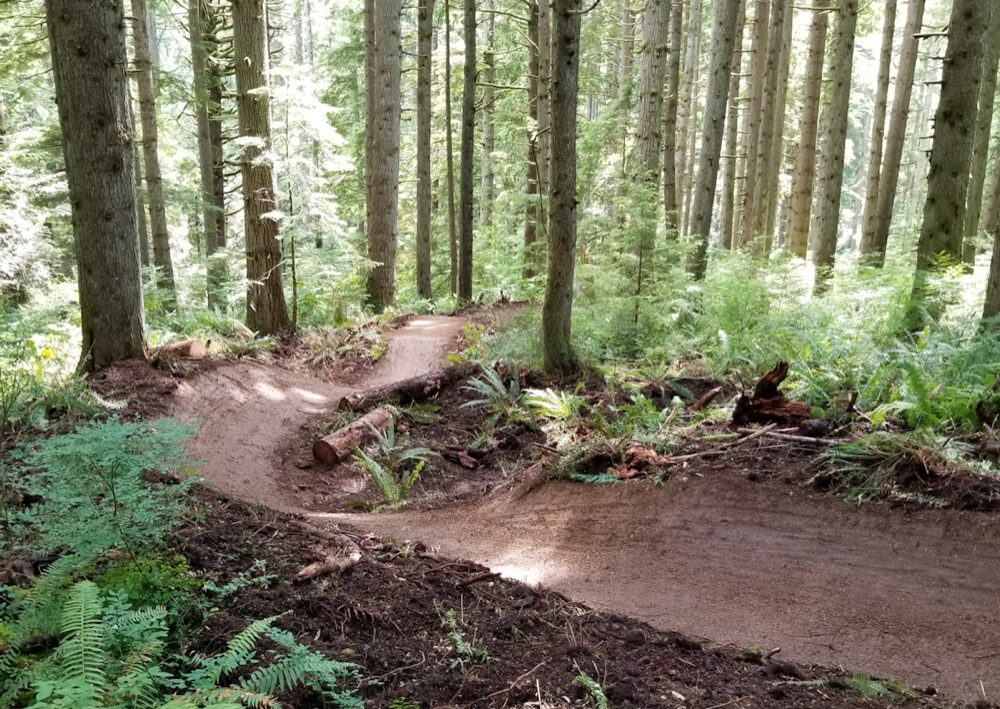 Talkin’ Trails with Eddie Espinosa, Evergreen’s New Executive Director