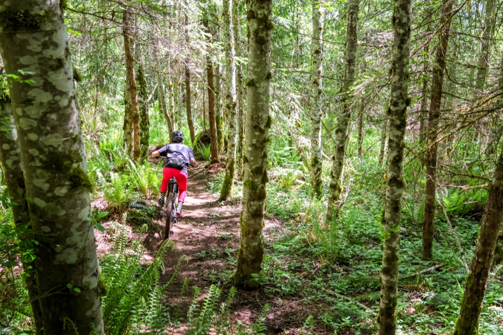 We Opened 40+ New Trails in 2024, and We Need Your Support for More in 2025!