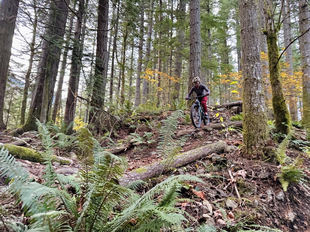 Trail Tuesday featuring Elk at Tennant Trailhead Park