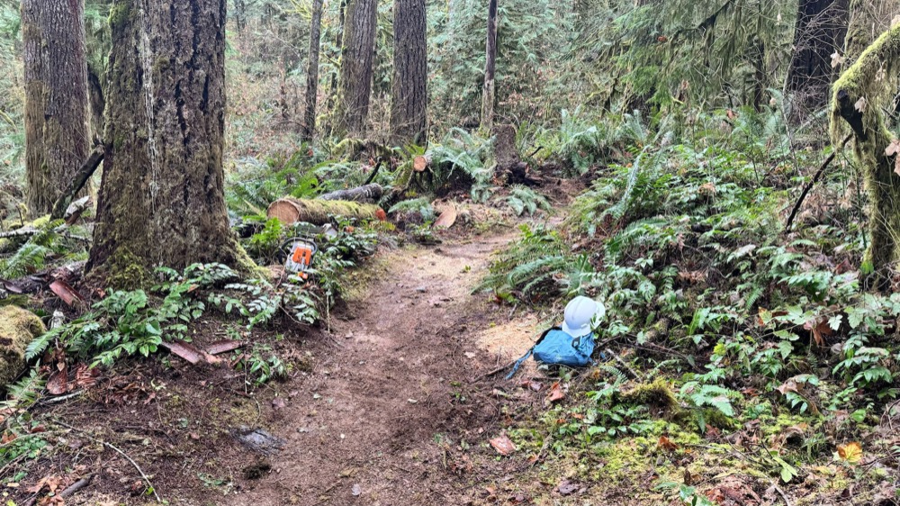 Trail Highlight: Skills Park at North Mountain, Darrington  (featuring Tom Vale's remix of the Backstreet Boys)