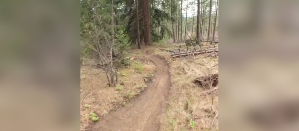 Trail Tuesday featuring Beer Can, Roslyn Area Trails in the Kittitas Chapter