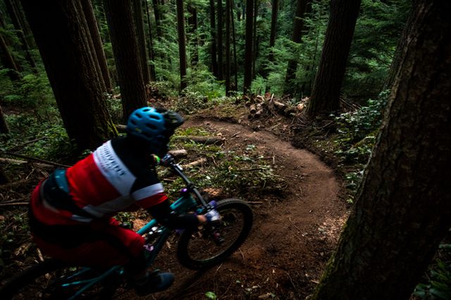 August NewsletterTE 1