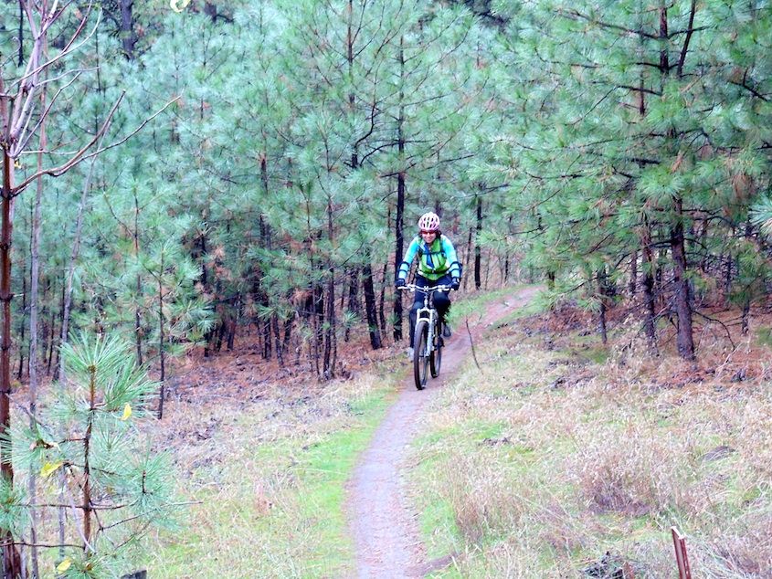 December Trail Highlight: Beacon Hill