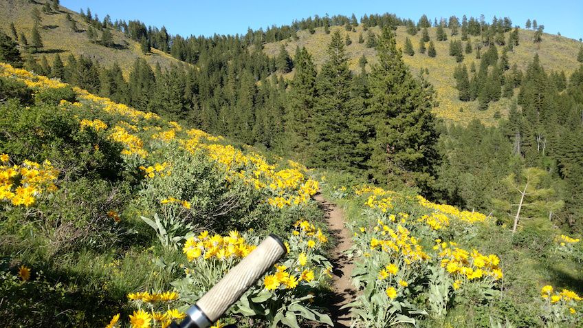 May Trail Highlight: Buck Mountain