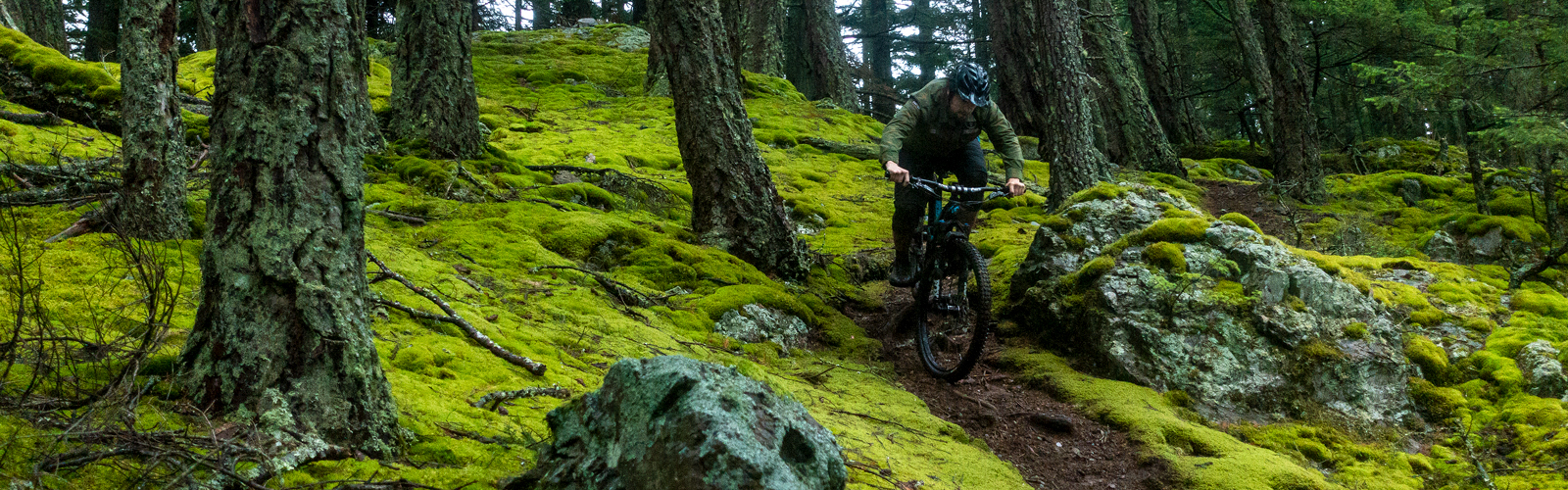 Meet the Evergreen Crew: Cody Olsen