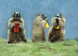 Image by Lori Deaton