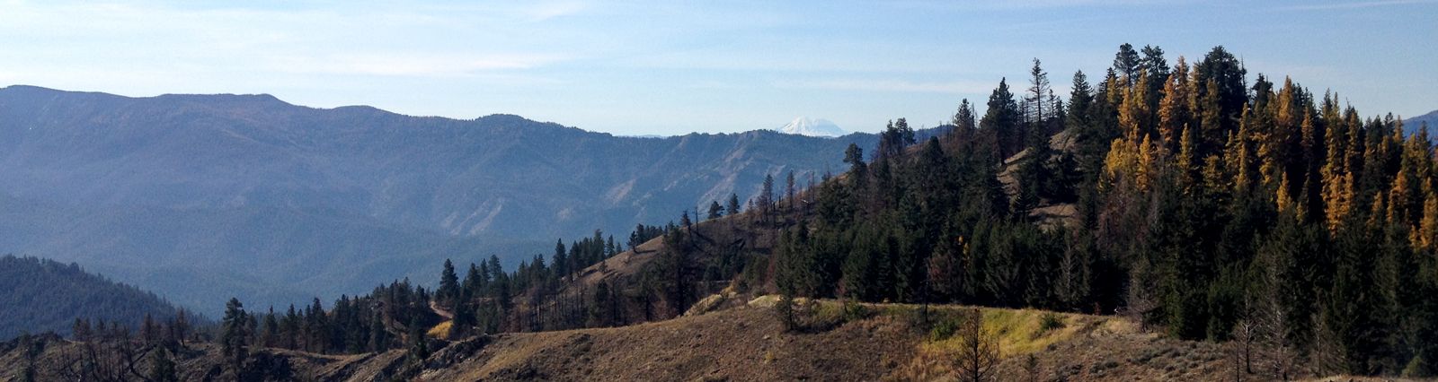 An update on our ongoing trail projects