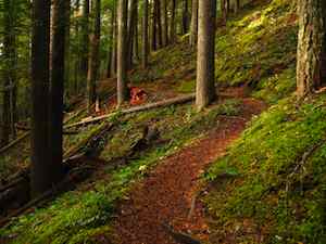 September Trail Highlight: Ranger Creek