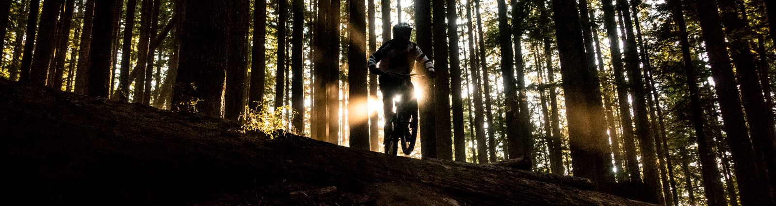 Epic Tested, Epic Approved