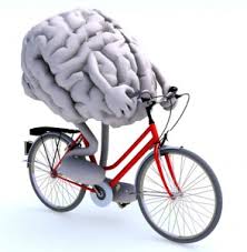 Concussion Head Injuries in Mountain Bikers by David Musnick MD