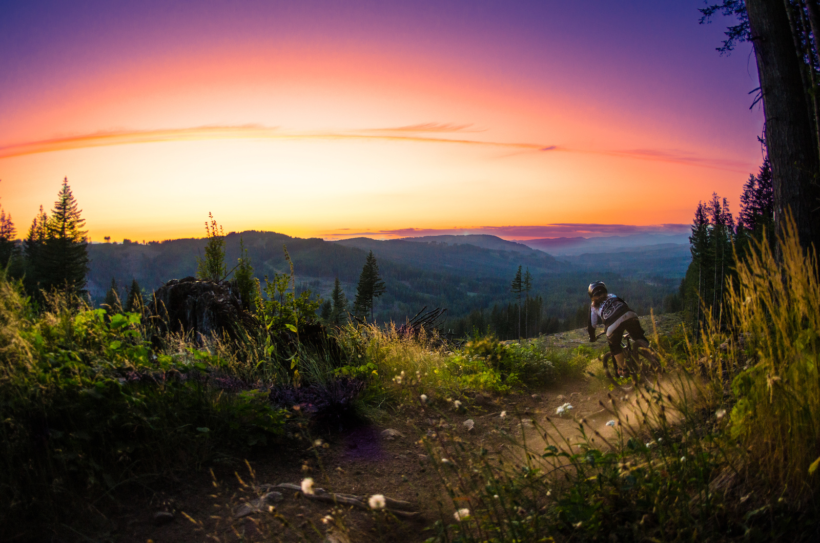 Trail Tuesday featuring Cold Creek, Southwest Chapter