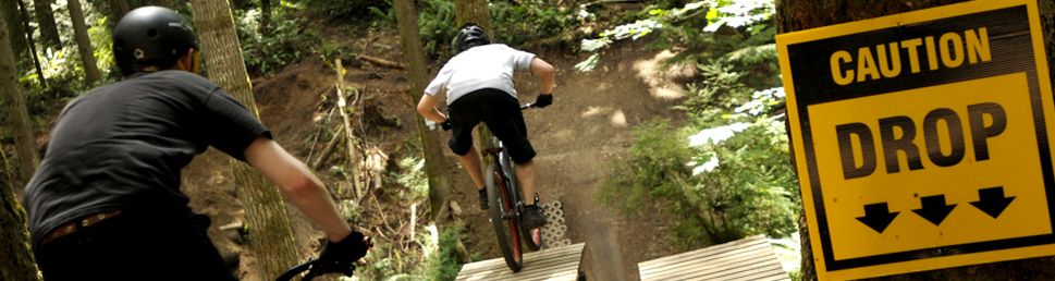 Interested in gaining DH skills? Let Evergreen Instructors help!