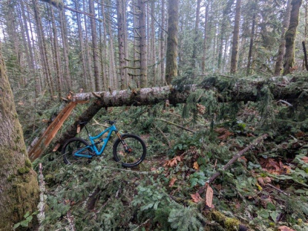 A Message from our Trails Director, David Fleischhauer