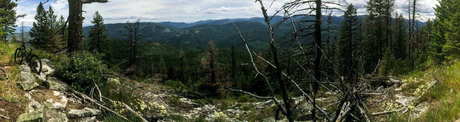 Updates On e-MTB Access & Advocacy In Washington