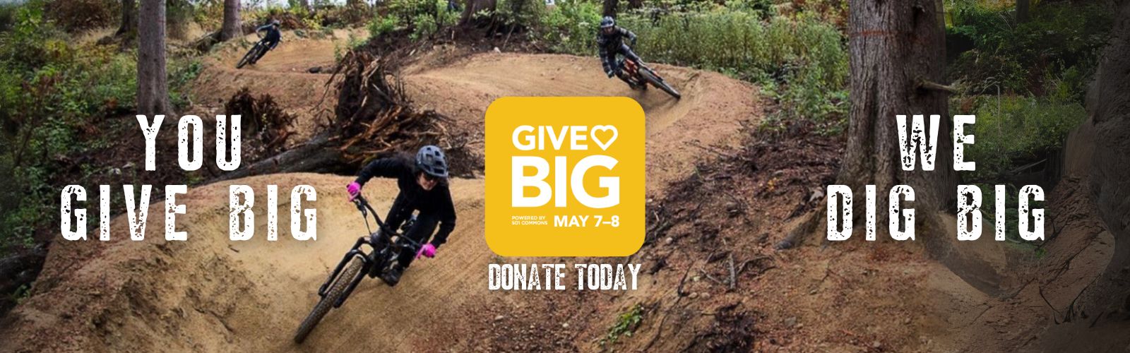 GiveBIG Project Summaries 2024