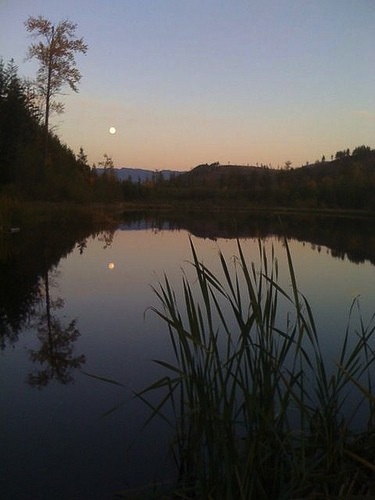 November 2015 Trail Highlight: The Henry Ridge Area