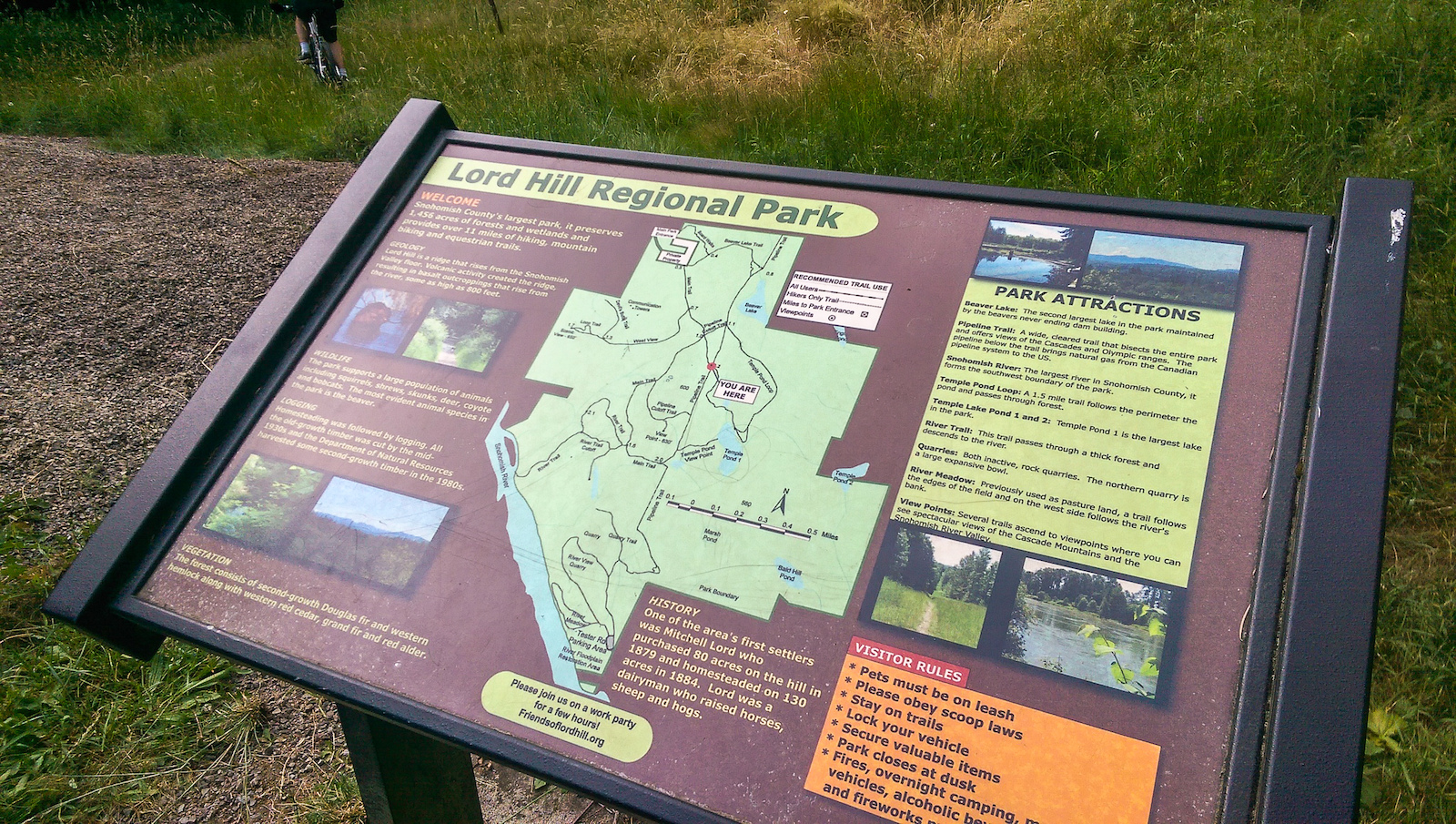 Trail Tuesday featuring Lower Springboard, Lord Hill in Snohomish