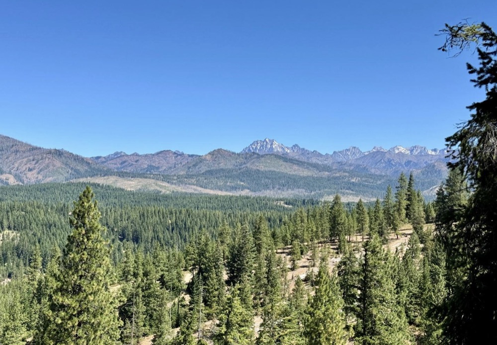 Teanaway Community Forest (TCF) Update from our Kittitas Chapter