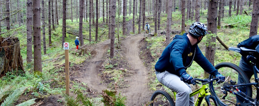 March/April Trail Highlight: Dockton Forest MTB Trails