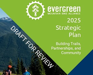 strategic plan thumbnail