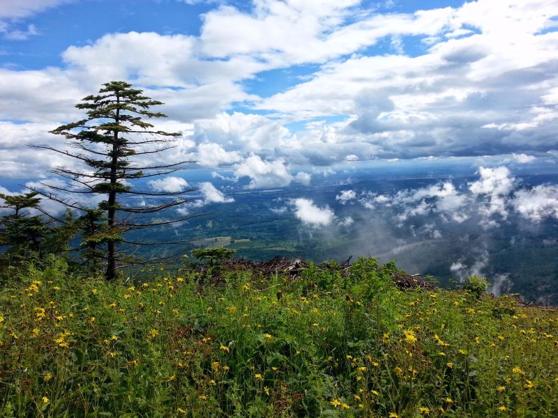 April Trail Highlight: Cold Creek