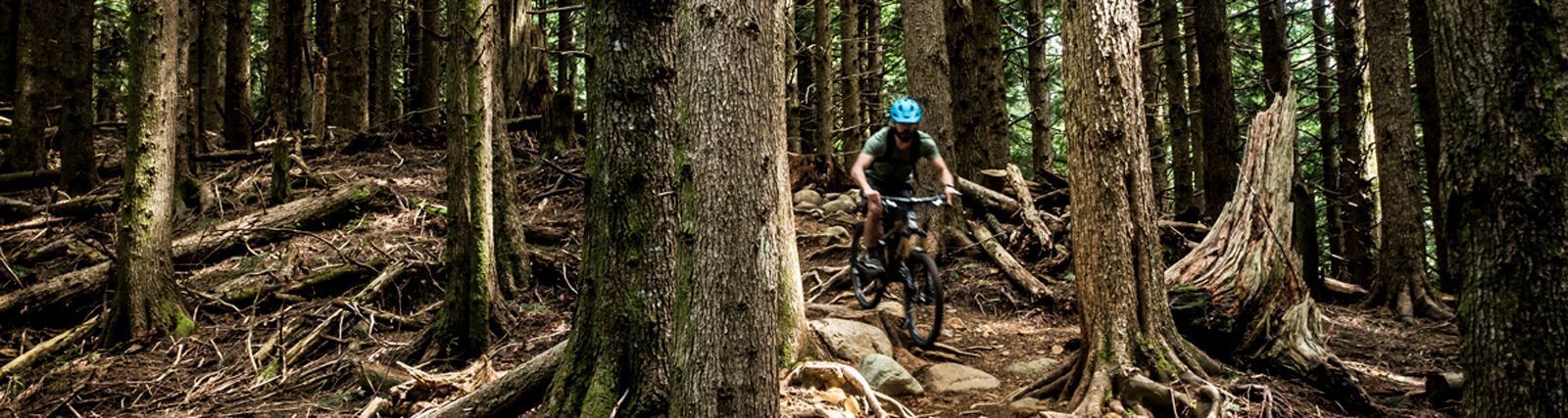 Navigating the Rocky Trails of Policy and Advocacy