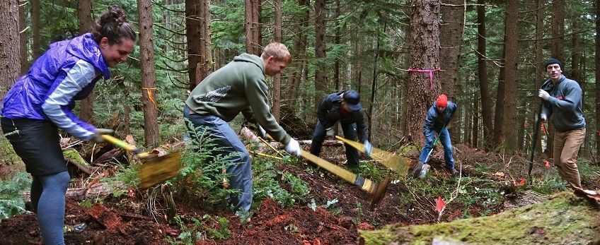 Evergreen is Hiring: Are We Looking for You?