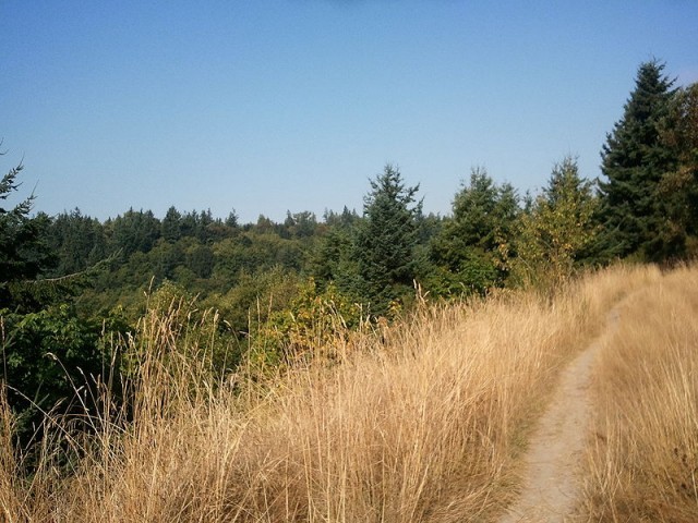 Protect Japanese Gulch Riding on 3/19