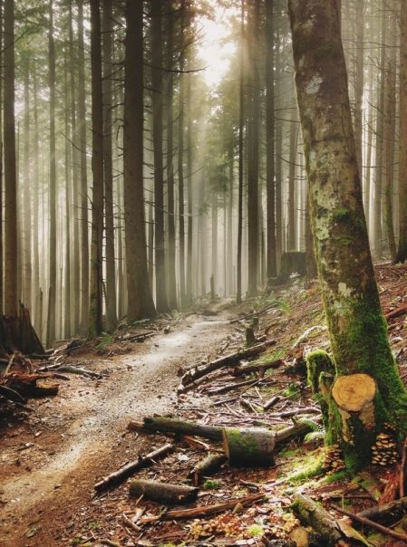 What’s the Deal With Winter Riding on Tiger Mountain?