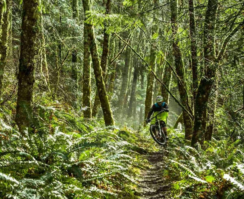 Thank You! Your Support Gets Us Rolling for 2015!