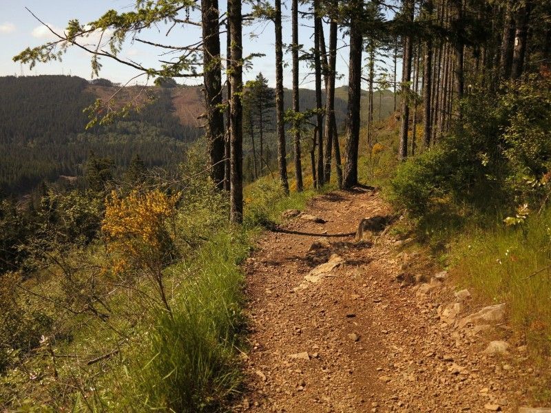 February Trail Highlight: Green Mountain